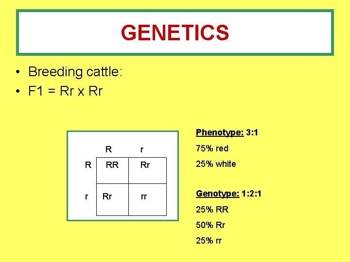 GENETICS • Breeding cattle: • F 1 = Rr x Rr Phenotype: 3: 1