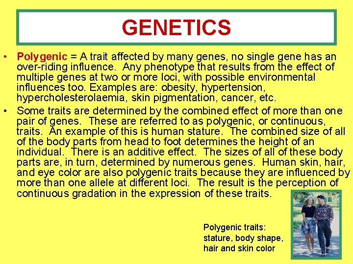 GENETICS • Polygenic = A trait affected by many genes, no single gene has