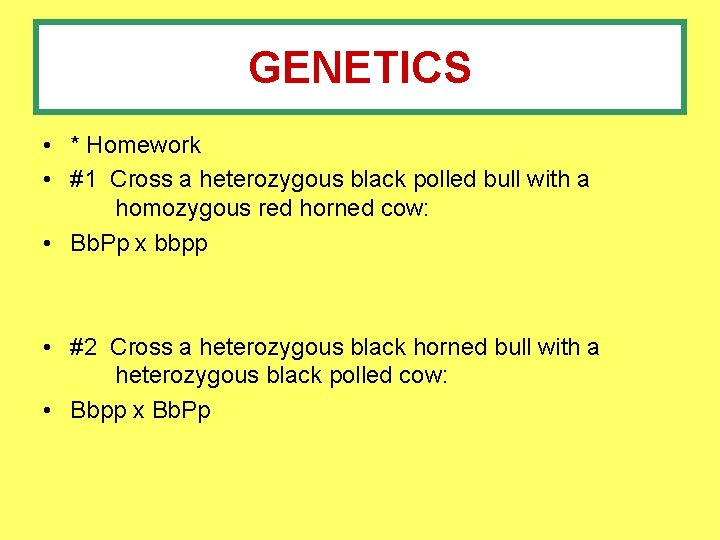 GENETICS • * Homework • #1 Cross a heterozygous black polled bull with a