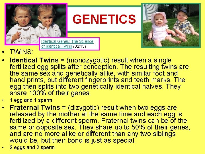 GENETICS Identical Genes: The Science of Identical Twins (02: 13) • TWINS: • Identical