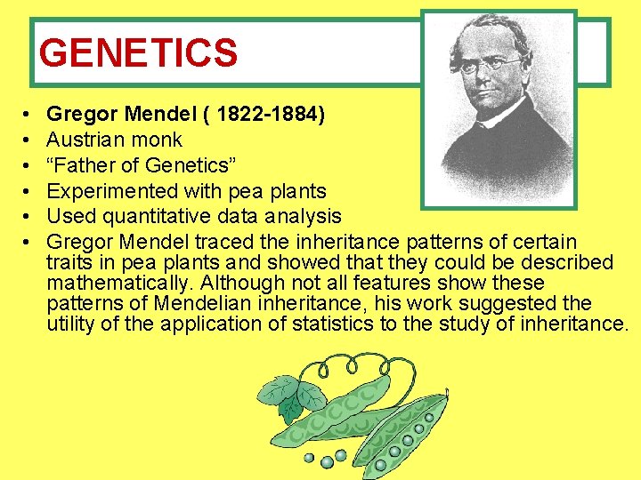 GENETICS • • • Gregor Mendel ( 1822 -1884) Austrian monk “Father of Genetics”