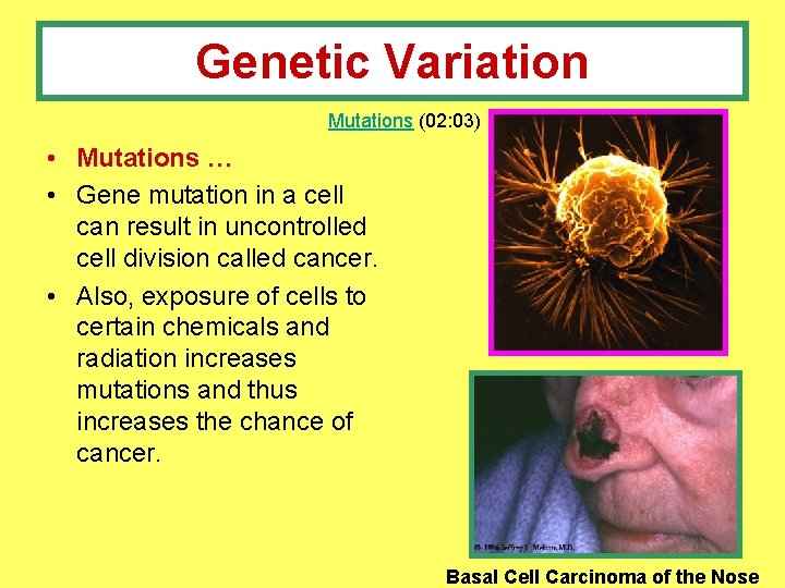 Genetic Variation Mutations (02: 03) • Mutations … • Gene mutation in a cell