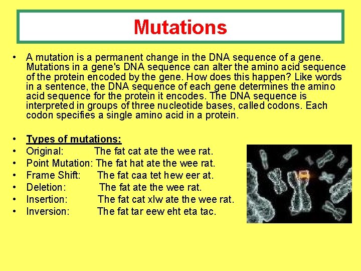 Mutations • A mutation is a permanent change in the DNA sequence of a