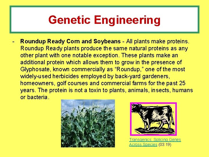 Genetic Engineering - Roundup Ready Corn and Soybeans - All plants make proteins. Roundup