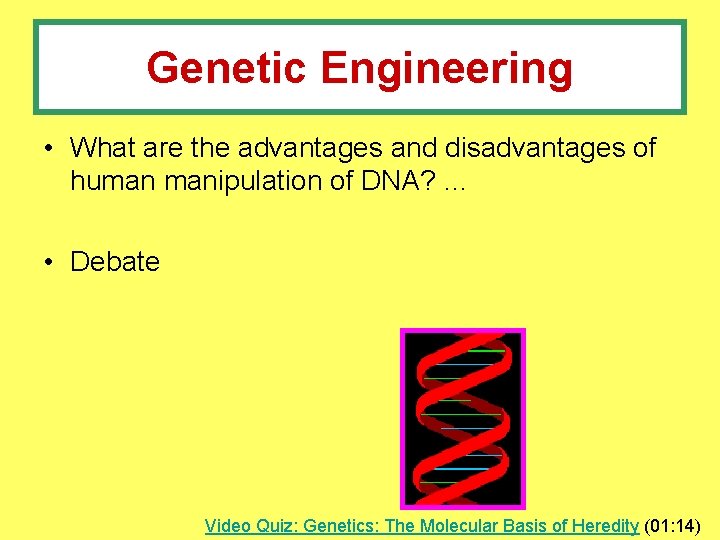 Genetic Engineering • What are the advantages and disadvantages of human manipulation of DNA?