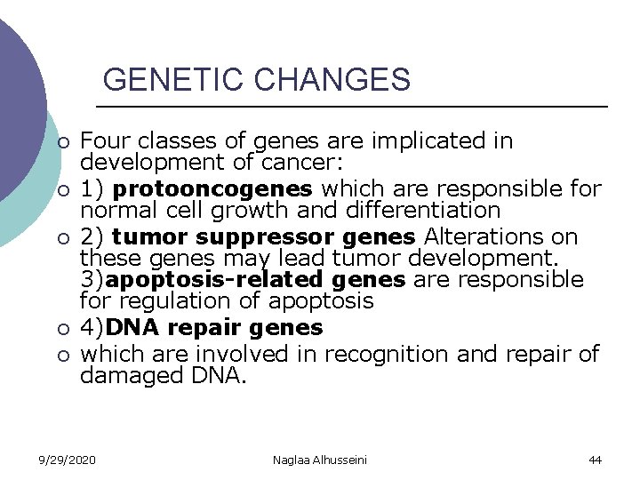 GENETIC CHANGES ¡ ¡ ¡ Four classes of genes are implicated in development of