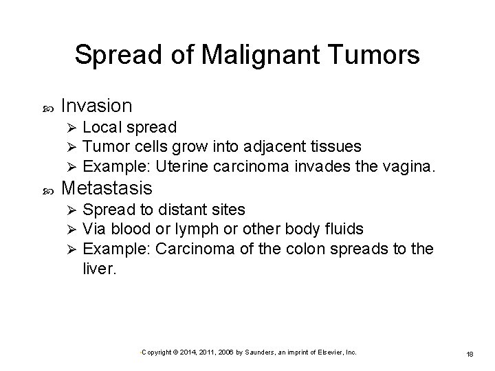 Spread of Malignant Tumors Invasion Ø Ø Ø Local spread Tumor cells grow into Spread of Malignant Tumors Invasion Ø Ø Ø Local spread Tumor cells grow into