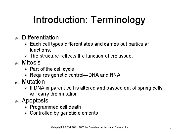 Introduction: Terminology Differentiation Each cell types differentiates and carries out particular functions. Ø The Introduction: Terminology Differentiation Each cell types differentiates and carries out particular functions. Ø The