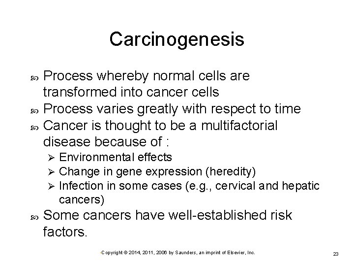 Carcinogenesis Process whereby normal cells are transformed into cancer cells Process varies greatly with Carcinogenesis Process whereby normal cells are transformed into cancer cells Process varies greatly with