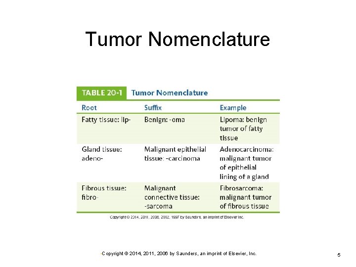 Tumor Nomenclature • Copyright © 2014, 2011, 2006 by Saunders, an imprint of Elsevier, Tumor Nomenclature • Copyright © 2014, 2011, 2006 by Saunders, an imprint of Elsevier,
