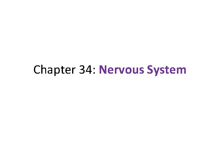 Chapter 34: Nervous System Chapter 34: Nervous System