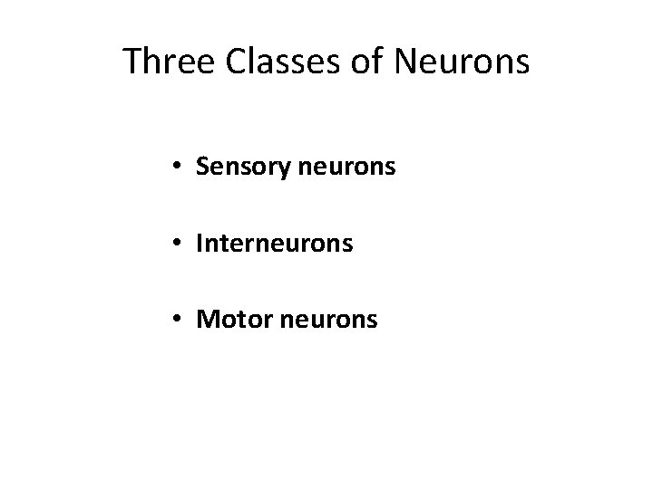 Three Classes of Neurons • Sensory neurons • Interneurons • Motor neurons Three Classes of Neurons • Sensory neurons • Interneurons • Motor neurons