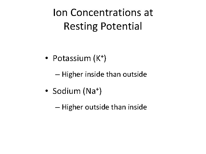 Ion Concentrations at Resting Potential • Potassium (K+) – Higher inside than outside • Ion Concentrations at Resting Potential • Potassium (K+) – Higher inside than outside •