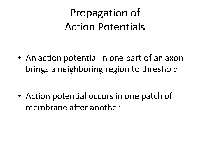 Propagation of Action Potentials • An action potential in one part of an axon Propagation of Action Potentials • An action potential in one part of an axon