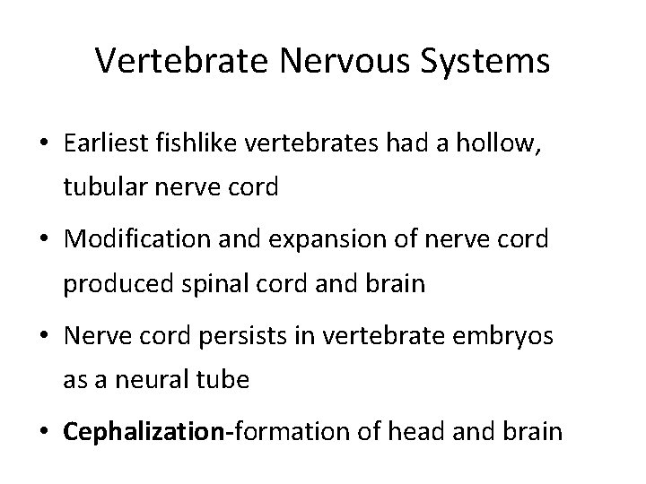 Vertebrate Nervous Systems • Earliest fishlike vertebrates had a hollow, tubular nerve cord • Vertebrate Nervous Systems • Earliest fishlike vertebrates had a hollow, tubular nerve cord •