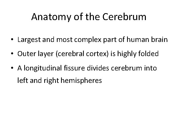Anatomy of the Cerebrum • Largest and most complex part of human brain • Anatomy of the Cerebrum • Largest and most complex part of human brain •