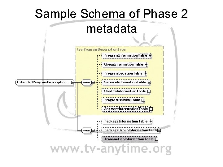 Sample Schema of Phase 2 metadata 