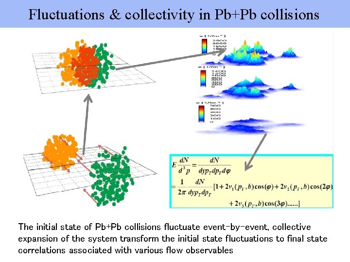 Fluctuations & collectivity in Pb+Pb collisions The initial state of Pb+Pb collisions fluctuate event-by-event,