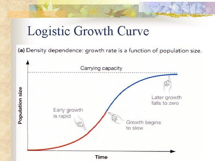 Logistic Growth Curve 