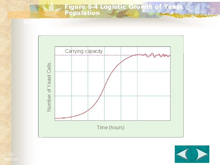 Figure 5 -4 Logistic Growth of Yeast Population Section 5 -1 Number of Yeast