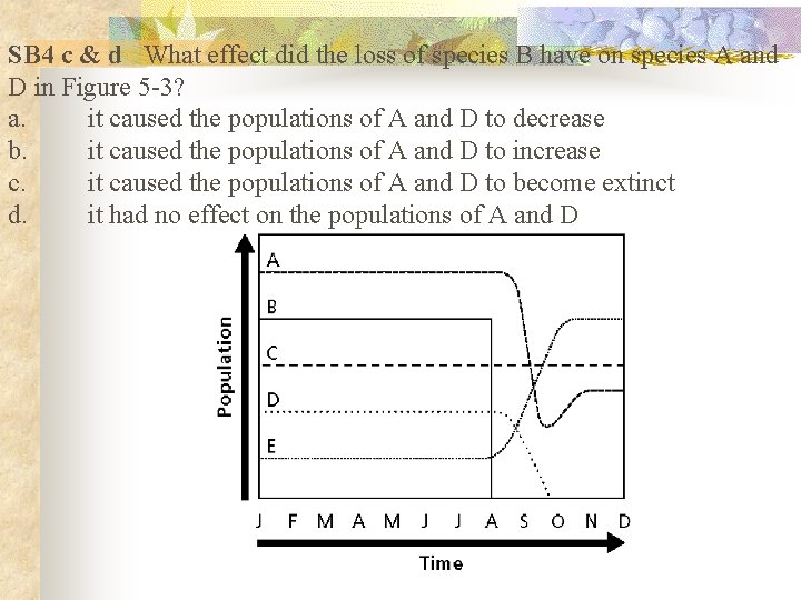 SB 4 c & d What effect did the loss of species B have