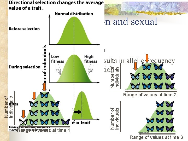 III. Natural selection and sexual selection Directional selection 2) Number of individuals 3) def: