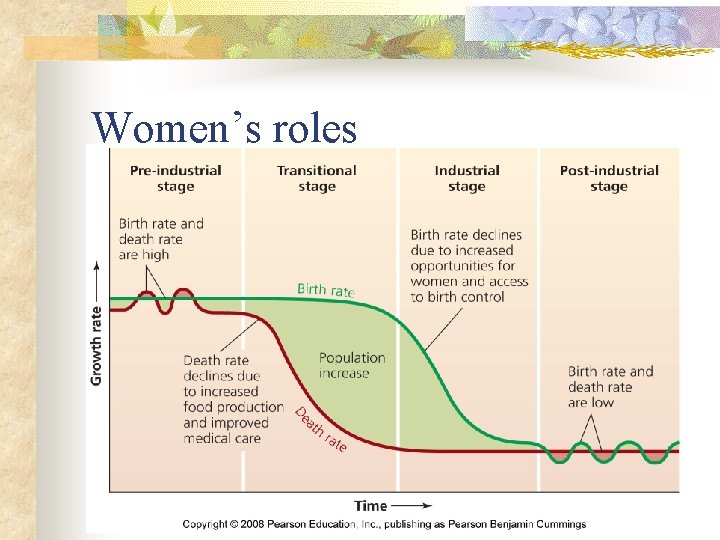 Women’s roles 