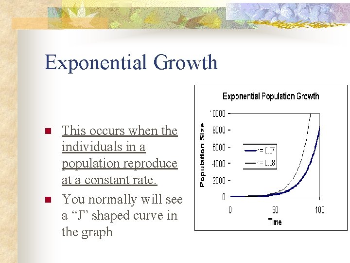 Exponential Growth n n This occurs when the individuals in a population reproduce at