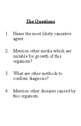 The Questions 1. Name the most likely causative agent. 2. Mention other media which