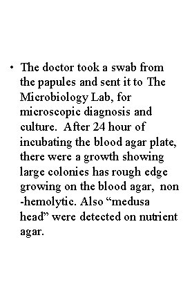  • The doctor took a swab from the papules and sent it to