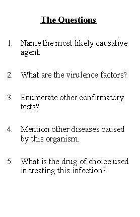 The Questions 1. Name the most likely causative agent. 2. What are the virulence