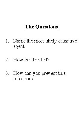 The Questions 1. Name the most likely causative agent. 2. How is it treated?