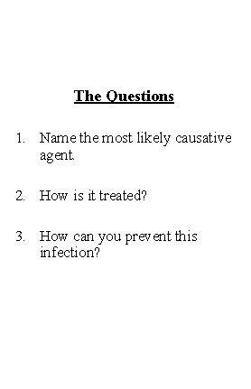 The Questions 1. Name the most likely causative agent. 2. How is it treated?