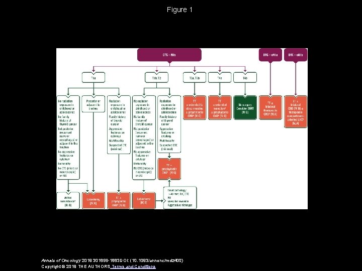 Figure 1 Annals of Oncology 2019 301856 -1883 DOI: (10. 1093/annonc/mdz 400) Copyright ©