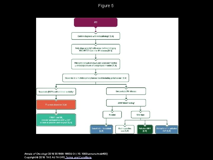 Figure 5 Annals of Oncology 2019 301856 -1883 DOI: (10. 1093/annonc/mdz 400) Copyright ©