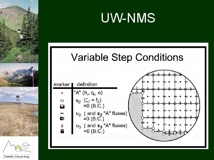 UW-NMS 