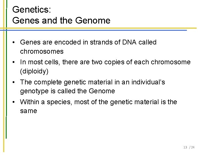 Genetics: Genes and the Genome • Genes are encoded in strands of DNA called