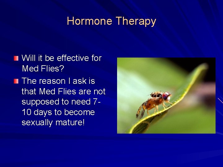 Hormone Therapy Will it be effective for Med Flies? The reason I ask is