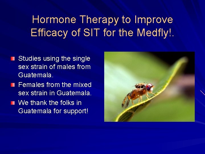 Hormone Therapy to Improve Efficacy of SIT for the Medfly!. Studies using the single