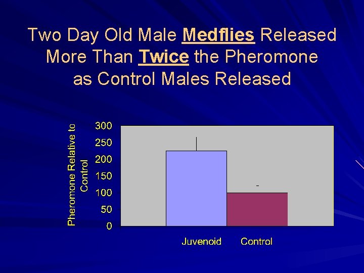 Two Day Old Male Medflies Released More Than Twice the Pheromone as Control Males