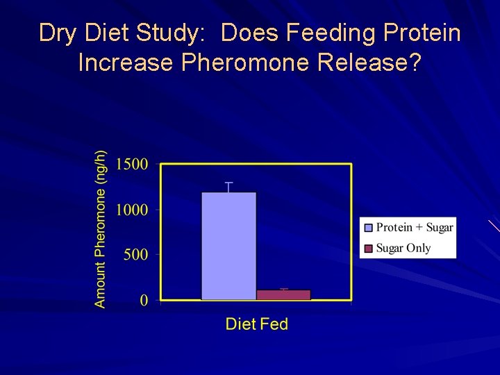 Dry Diet Study: Does Feeding Protein Increase Pheromone Release? 