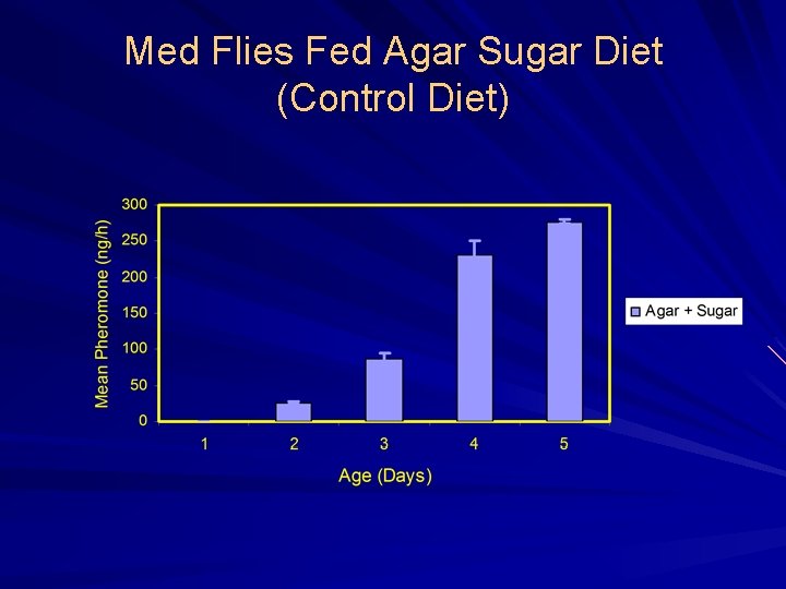 Med Flies Fed Agar Sugar Diet (Control Diet) 