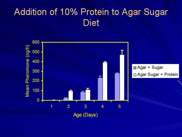 Addition of 10% Protein to Agar Sugar Diet 