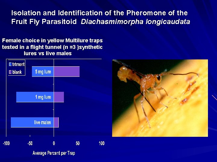 Isolation and Identification of the Pheromone of the Fruit Fly Parasitoid Diachasmimorpha longicaudata Female