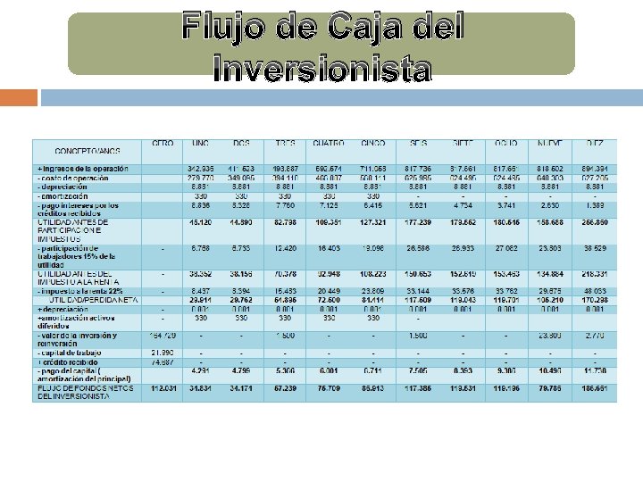 Flujo de Caja del Inversionista Flujo de Caja del Inversionista