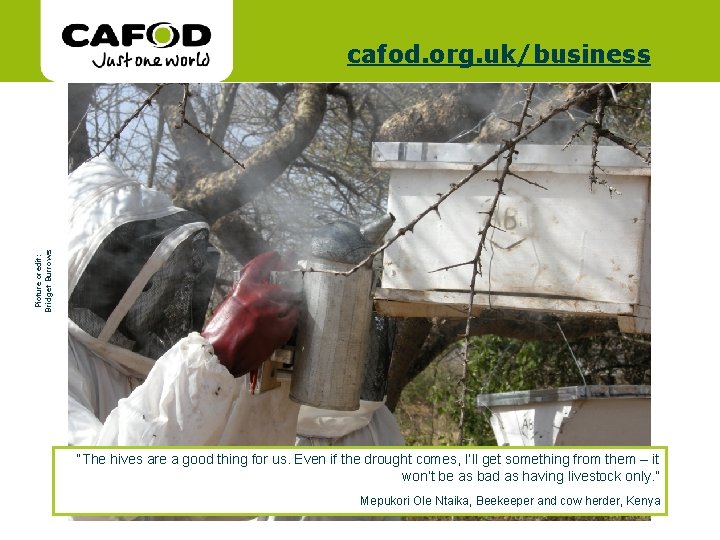 www. cafod. org. uk Picture credit: Bridget Burrows cafod. org. uk/business “The hives are