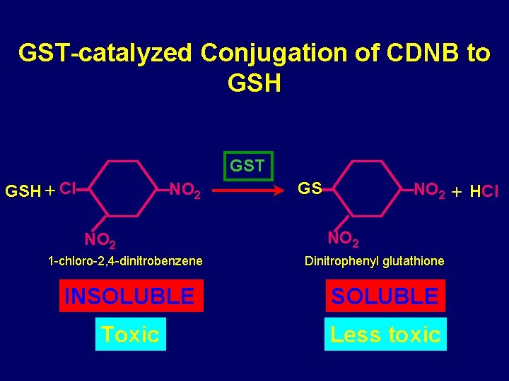 GST-catalyzed Conjugation of CDNB to GSH GST GSH Cl NO 2 1 -chloro-2, 4