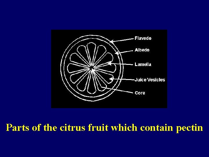 Parts of the citrus fruit which contain pectin 
