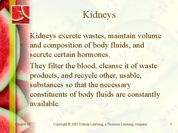 Kidneys excrete wastes, maintain volume and composition of body fluids, and secrete certain hormones.