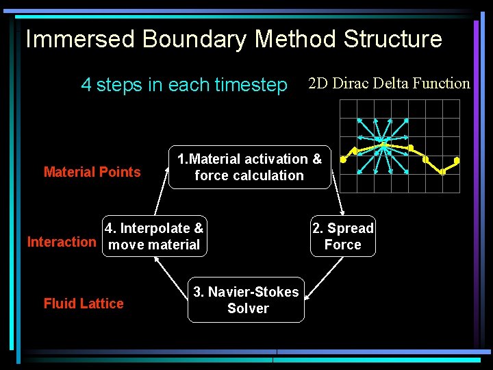 Immersed Boundary Method Structure 4 steps in each timestep Material Points 1. Material activation